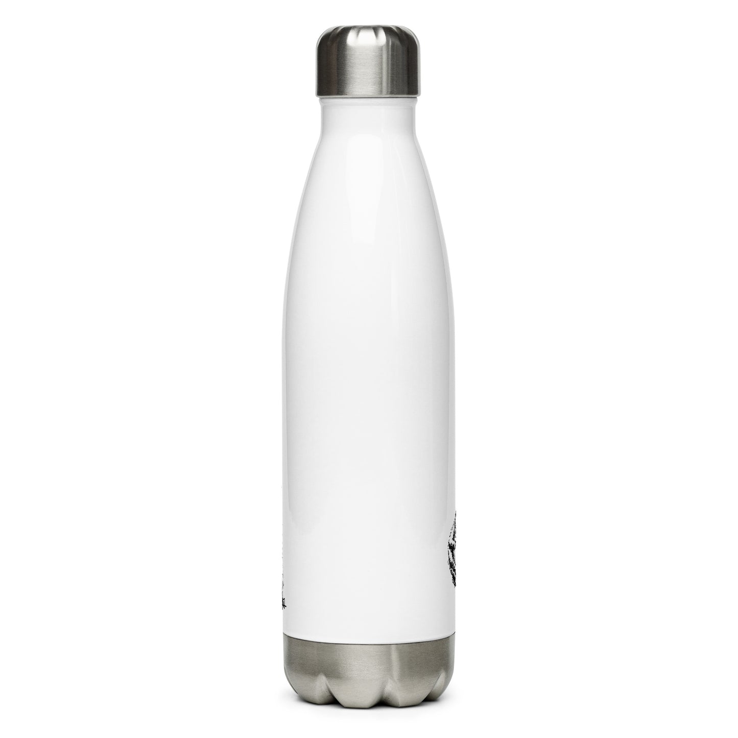 Stainless Steel Water Bottle