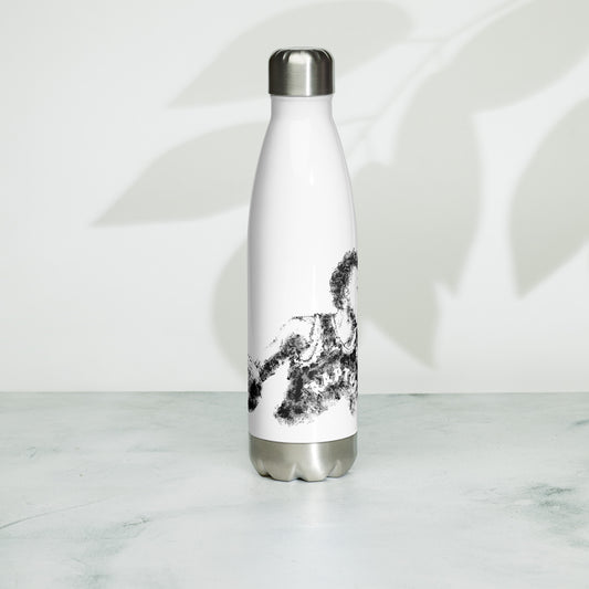 Scottie Barnes Stainless Steel Water Bottle